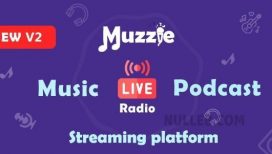 اسکریپت پخش و دانلود موزیک ، پاکدست و رادیو آنلاین با Muzzie v2.0