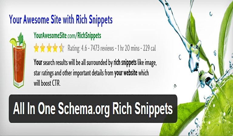 پلاگین org Rich Snippets